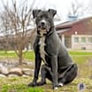 Thumbnail photo of Hermes #2