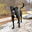 Thumbnail photo of Hermes #3