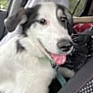 Thumbnail photo of Morty #1