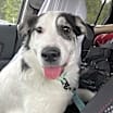 Thumbnail photo of Morty #2