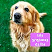 Thumbnail photo of Isla #1