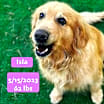 Thumbnail photo of Isla #2
