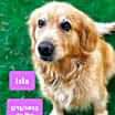 Thumbnail photo of Isla #3
