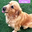 Thumbnail photo of Isla #4