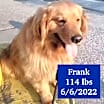 Thumbnail photo of Frank #1