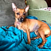 Thumbnail photo of Tina #1