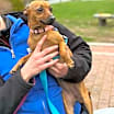 Thumbnail photo of Tina #2