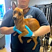 Thumbnail photo of Tina #3