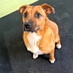 Thumbnail photo of Scarlett #2