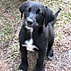 Thumbnail photo of Lilly #1