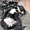 Thumbnail photo of Lilly #3
