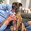 Thumbnail photo of Mabel #4