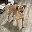 Thumbnail photo of Sandy #2