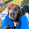 Thumbnail photo of Waylon #3