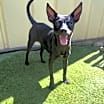 Thumbnail photo of Princess #1