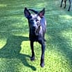 Thumbnail photo of Princess #2