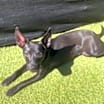 Thumbnail photo of Princess #3