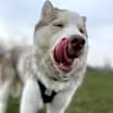 Thumbnail photo of Max #1