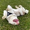 Thumbnail photo of Max #2