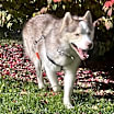 Thumbnail photo of Max #4
