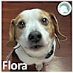 Thumbnail photo of FLORA #1