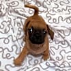 Thumbnail photo of Macy #2