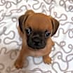 Thumbnail photo of Marty #2