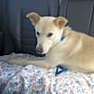 Thumbnail photo of Thumbelina #2