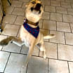 Thumbnail photo of Harlow #4