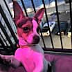 Thumbnail photo of Anna #4