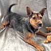 Thumbnail photo of Stella #1