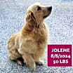 Thumbnail photo of Jolene #1