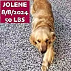 Thumbnail photo of Jolene #2