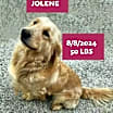 Thumbnail photo of Jolene #3