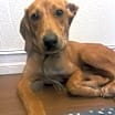 Thumbnail photo of Hudson #2
