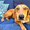 Thumbnail photo of Hudson #3