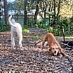 Thumbnail photo of Hudson #4