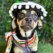 Thumbnail photo of Nelson #1