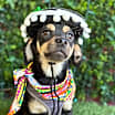 Thumbnail photo of Nelson #3
