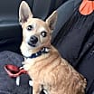 Thumbnail photo of Little Ritchie #2