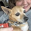 Thumbnail photo of Little Ritchie #3