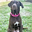 Thumbnail photo of Mama Candy #2