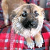 Thumbnail photo of Reyna #1