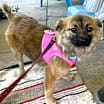 Thumbnail photo of Reyna #2