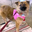 Thumbnail photo of Reyna #4