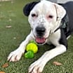 Thumbnail photo of Billy #1