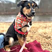 Thumbnail photo of Raya #1