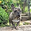 Thumbnail photo of Pia #3