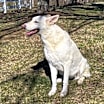 Thumbnail photo of Peppermint #2