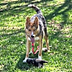 Thumbnail photo of Wyatt #1